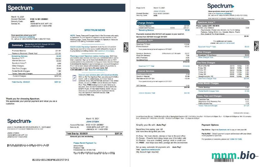 USA Spectrum rachunek za media szablon w formacie Word i PDF (4 Strony) 1 2